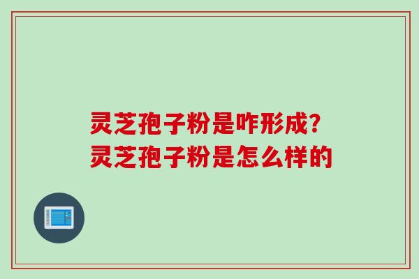 灵芝孢子粉是咋形成？灵芝孢子粉是怎么样的