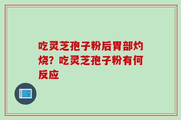 吃灵芝孢子粉后胃部灼烧？吃灵芝孢子粉有何反应