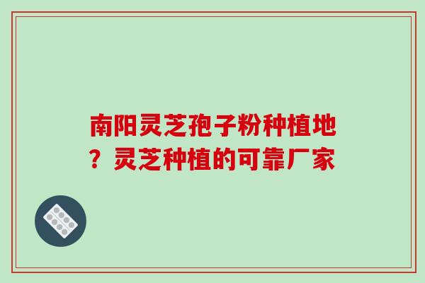 南阳灵芝孢子粉种植地？灵芝种植的可靠厂家
