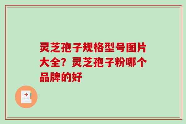 灵芝孢子规格型号图片大全？灵芝孢子粉哪个品牌的好