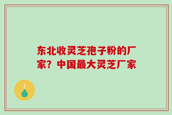 东北收灵芝孢子粉的厂家？中国最大灵芝厂家