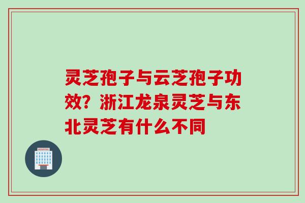 灵芝孢子与云芝孢子功效？浙江龙泉灵芝与东北灵芝有什么不同