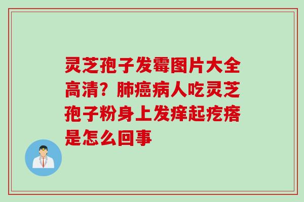 灵芝孢子发霉图片大全高清？人吃灵芝孢子粉身上发痒起疙瘩是怎么回事