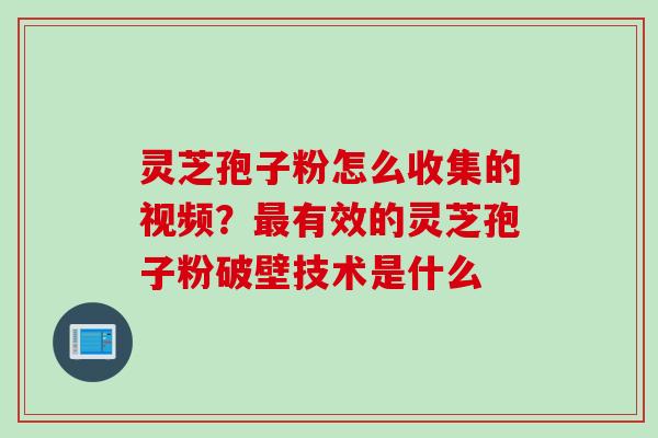 灵芝孢子粉怎么收集的视频？最有效的灵芝孢子粉破壁技术是什么
