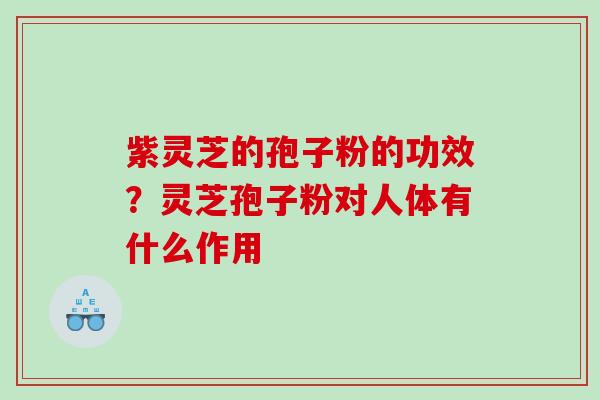 紫灵芝的孢子粉的功效？灵芝孢子粉对人体有什么作用