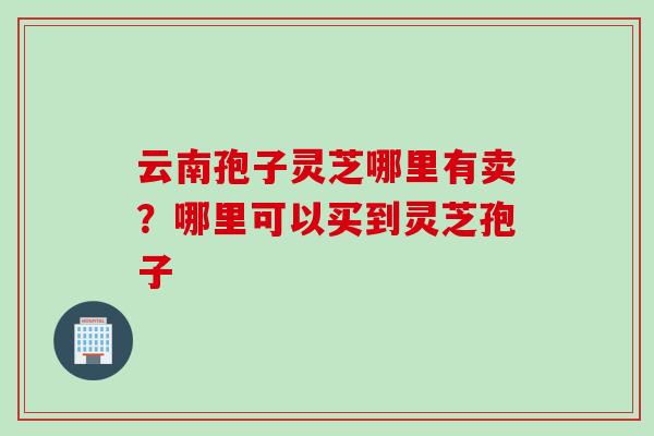 云南孢子灵芝哪里有卖？哪里可以买到灵芝孢子
