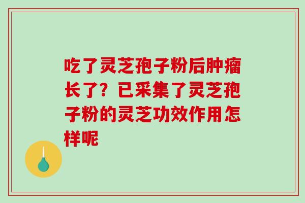 吃了灵芝孢子粉后肿瘤长了？已采集了灵芝孢子粉的灵芝功效作用怎样呢