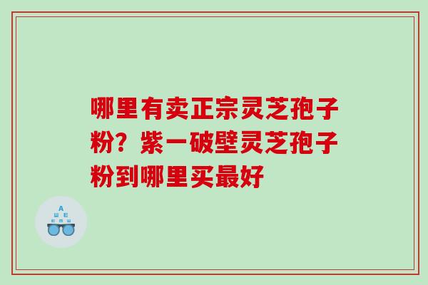 哪里有卖正宗灵芝孢子粉？紫一破壁灵芝孢子粉到哪里买最好