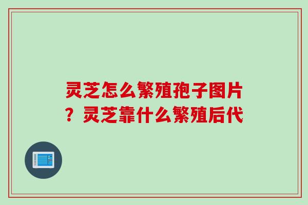 灵芝怎么繁殖孢子图片？灵芝靠什么繁殖后代