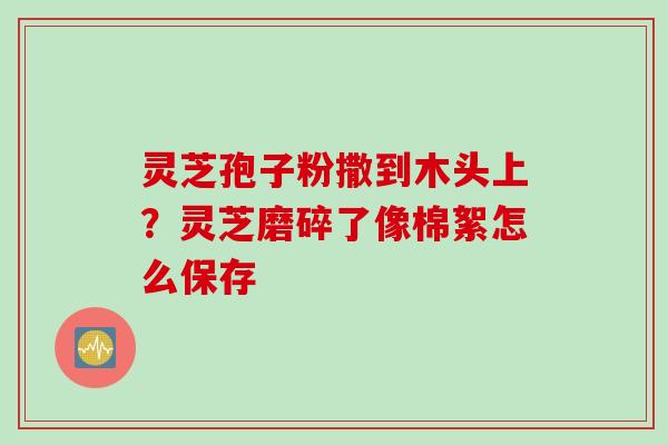 灵芝孢子粉撒到木头上？灵芝磨碎了像棉絮怎么保存