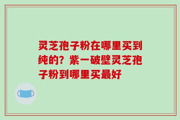 灵芝孢子粉在哪里买到纯的？紫一破壁灵芝孢子粉到哪里买最好