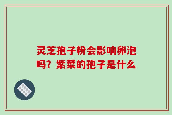 灵芝孢子粉会影响卵泡吗？紫菜的孢子是什么