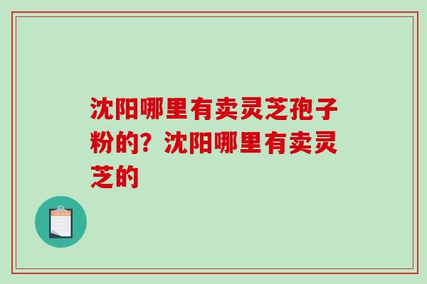 沈阳哪里有卖灵芝孢子粉的？沈阳哪里有卖灵芝的