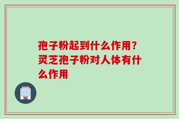 孢子粉起到什么作用？灵芝孢子粉对人体有什么作用