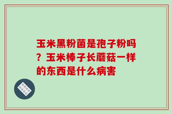 玉米黑粉菌是孢子粉吗？玉米棒子长蘑菇一样的东西是什么病害