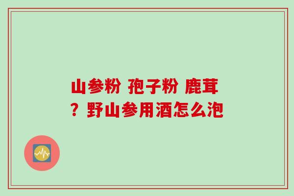 山参粉 孢子粉 鹿茸？野山参用酒怎么泡