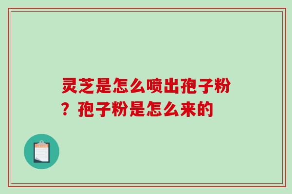 灵芝是怎么喷出孢子粉？孢子粉是怎么来的