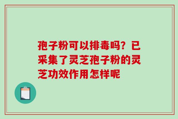 孢子粉可以排毒吗？已采集了灵芝孢子粉的灵芝功效作用怎样呢