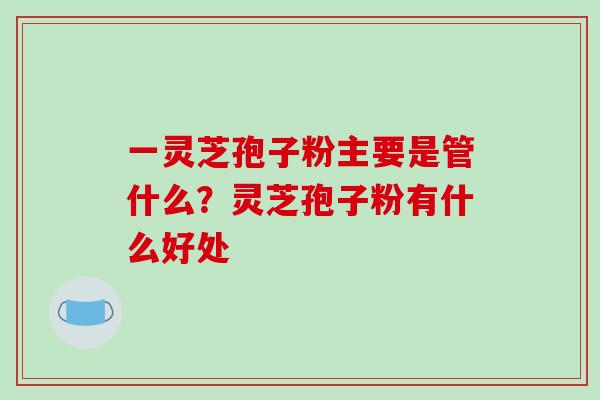 一灵芝孢子粉主要是管什么？灵芝孢子粉有什么好处