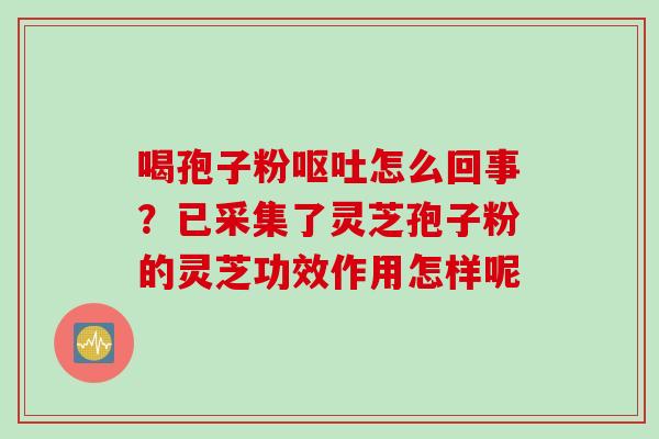 喝孢子粉怎么回事？已采集了灵芝孢子粉的灵芝功效作用怎样呢