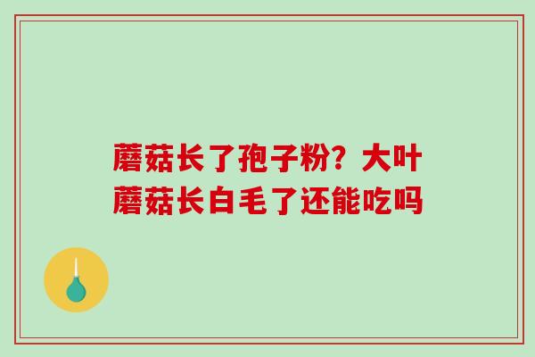 蘑菇长了孢子粉？大叶蘑菇长白毛了还能吃吗