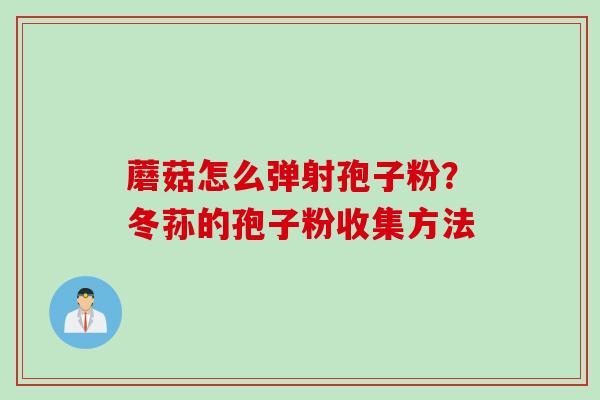 蘑菇怎么弹射孢子粉？冬荪的孢子粉收集方法