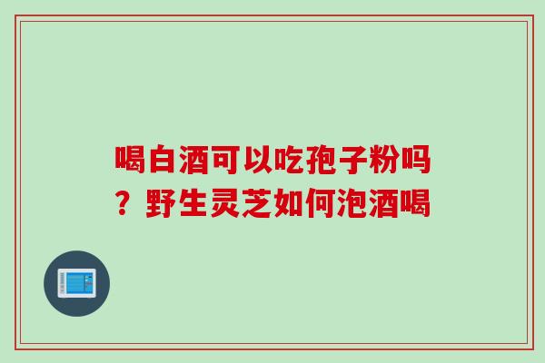 喝白酒可以吃孢子粉吗？野生灵芝如何泡酒喝