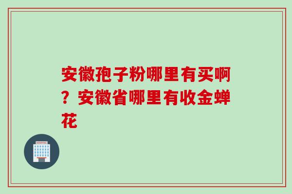 安徽孢子粉哪里有买啊？安徽省哪里有收金蝉花