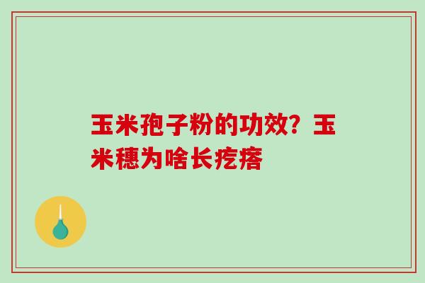 玉米孢子粉的功效？玉米穗为啥长疙瘩