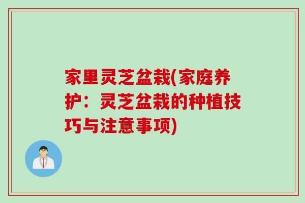 家里灵芝盆栽(家庭养护：灵芝盆栽的种植技巧与注意事项)