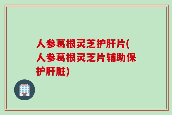 人参葛根灵芝片(人参葛根灵芝片辅助保护)