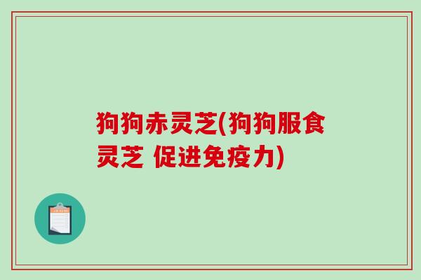 狗狗赤灵芝(狗狗服食灵芝 促进免疫力)