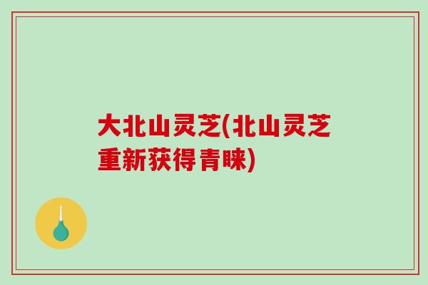 大北山灵芝(北山灵芝重新获得青睐)