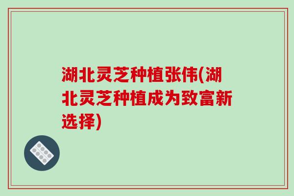 湖北灵芝种植张伟(湖北灵芝种植成为致富新选择)