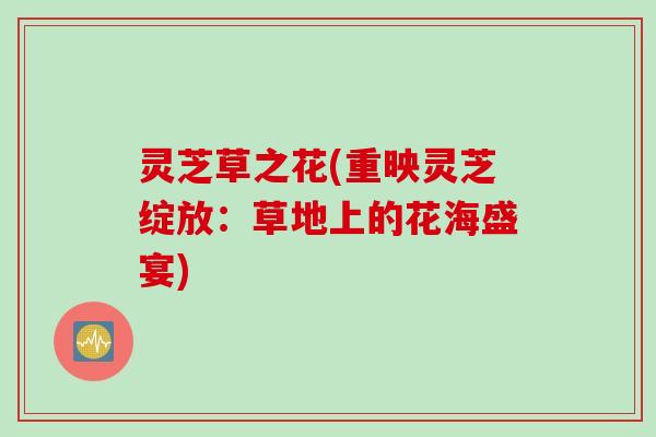 灵芝草之花(重映灵芝绽放：草地上的花海盛宴)