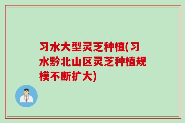 习水大型灵芝种植(习水黔北山区灵芝种植规模不断扩大)
