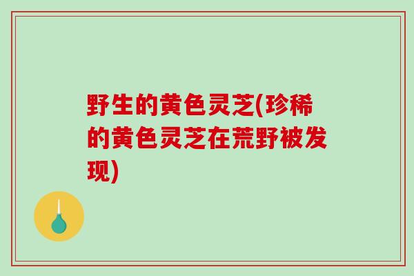 野生的黄色灵芝(珍稀的黄色灵芝在荒野被发现)