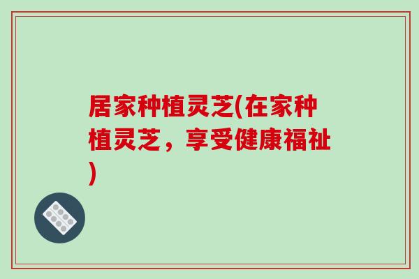 居家种植灵芝(在家种植灵芝，享受健康福祉)