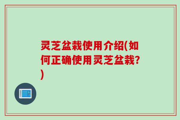 灵芝盆栽使用介绍(如何正确使用灵芝盆栽？)