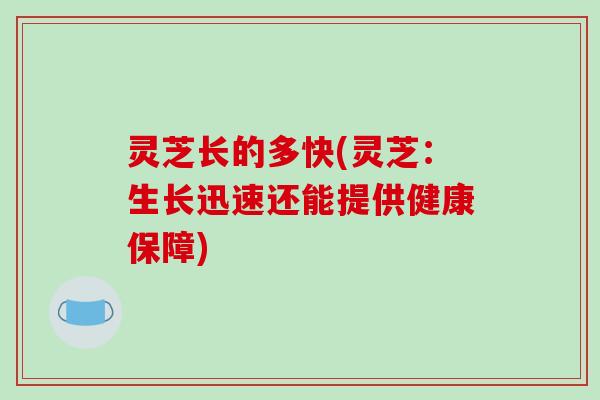 灵芝长的多快(灵芝：生长迅速还能提供健康保障)