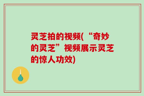 灵芝拍的视频(“奇妙的灵芝”视频展示灵芝的惊人功效)