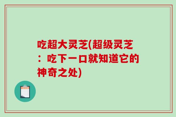 吃超大灵芝(超级灵芝：吃下一口就知道它的神奇之处)
