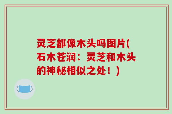 灵芝都像木头吗图片(石木苍润：灵芝和木头的神秘相似之处！)