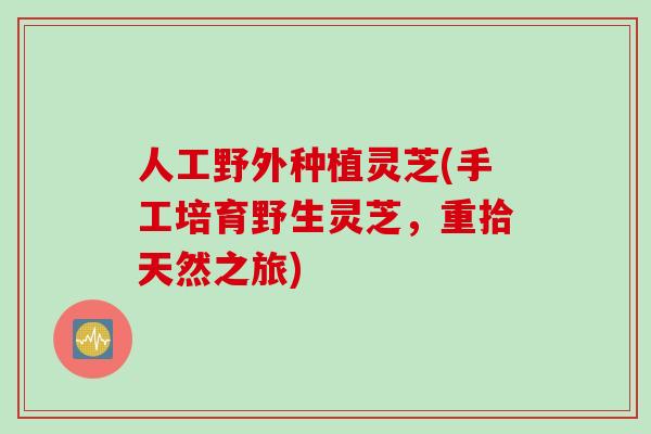 人工野外种植灵芝(手工培育野生灵芝，重拾天然之旅)
