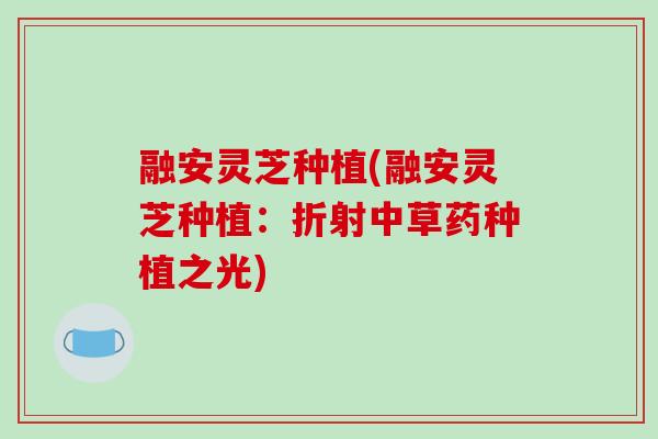 融安灵芝种植(融安灵芝种植：折射中草药种植之光)