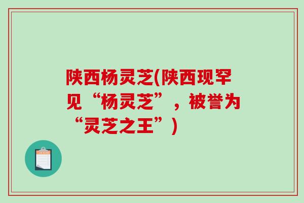 陕西杨灵芝(陕西现罕见“杨灵芝”，被誉为“灵芝之王”)