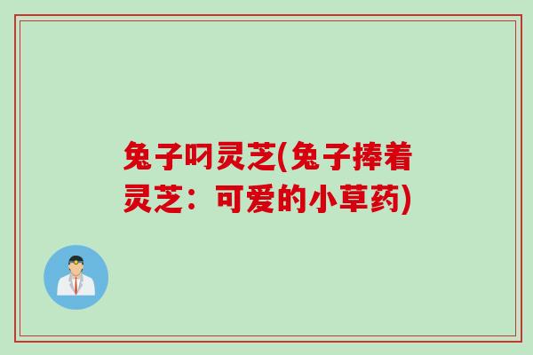 兔子叼灵芝(兔子捧着灵芝：可爱的小草药)