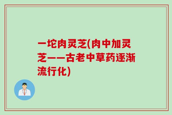一坨肉灵芝(肉中加灵芝——古老中草药逐渐流行化)