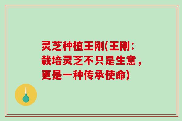 灵芝种植王刚(王刚：栽培灵芝不只是生意，更是一种传承使命)