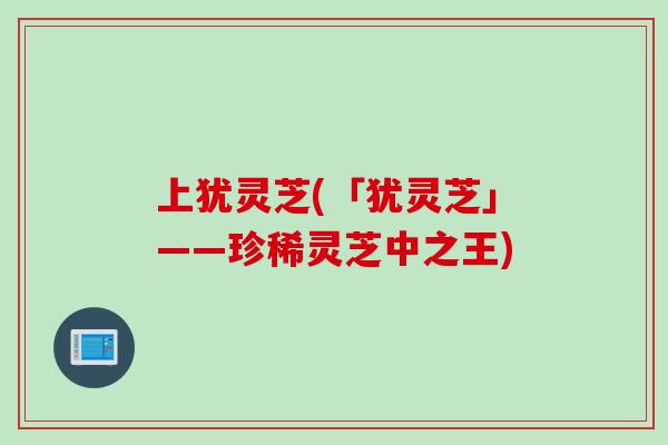上犹灵芝(「犹灵芝」——珍稀灵芝中之王)
